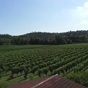 Il Vigneto Affittacamere Manerba del Garda